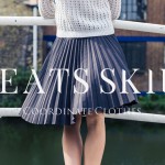 pleats-skirt