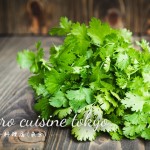 cilantro-cuisine-tokyo