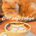 東京の猫カフェ